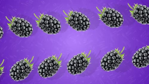 Seamless Looping Blackberries Animated Background