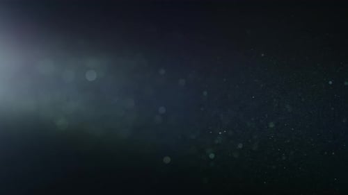 Organic Dust 30