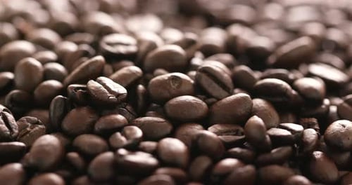 Coffee Bean