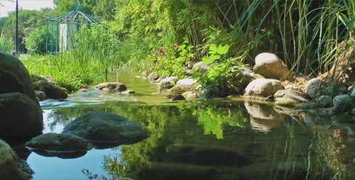Creek