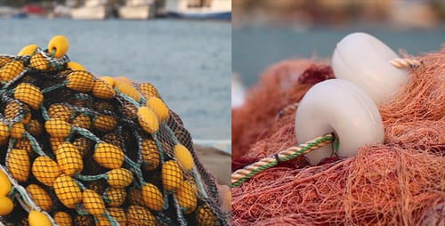 Fishing Lines