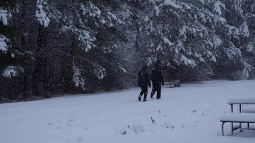 Schnee-Szene im Park 6