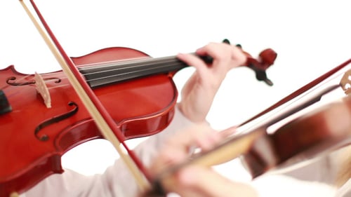 Violin Played Close-Up in Studio