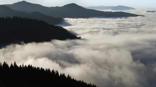 Morning Fog in the Forest, Natural Beautiful Nature Landscape in Mountain, Background