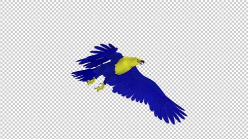 Ukraine Eagle - Flying Transition - I - 4K - Alpha Channel