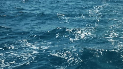 Foamy Waves