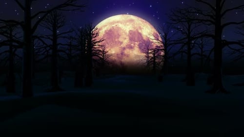 Night Forest Halloween 4k