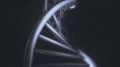 Isolated DNA Helix In A Macro Close-Up View