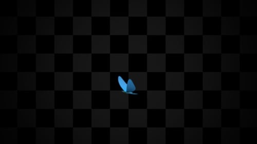 Animated Abstract Butterfly Shape Fluid Movement