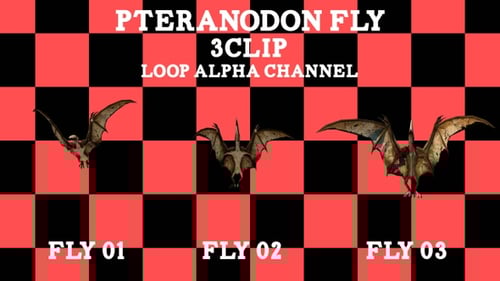 Pteranodon Fly 3 Clip Loop