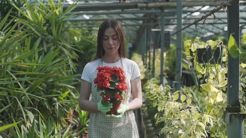 Female Florist in an Apron Holds a Flowerpot of Houseplants and Flowers