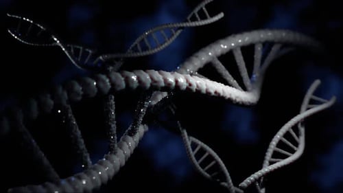 DNA Helix 3D Animation | Genetic Structure Visualization | HD