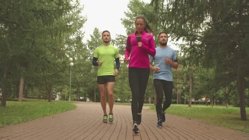 Young Adults Jogging in a Park on Paved Path