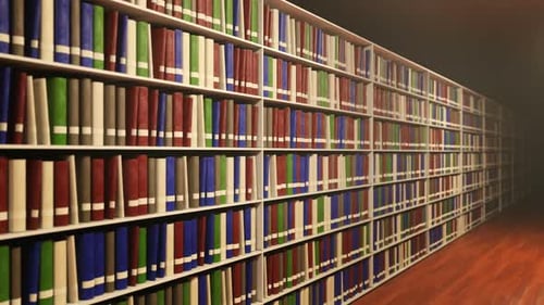 3D Camera Fly Through Infinite Library Bookshelves