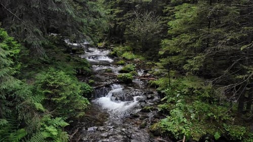 Cascaded River Flowing Over Stones in the Forest