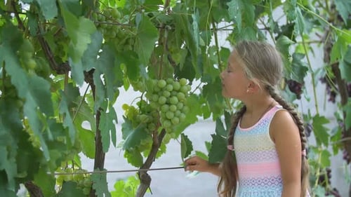 Girl Eating Grapes