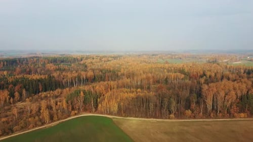 Sunny Autumn Day at Country Side, Aerial View of the Field in Autumn