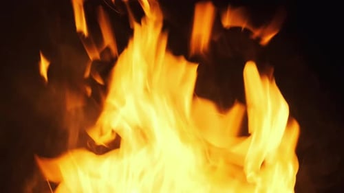Feuerflammen auf schwarzem Hintergrund. Lagerfeuer brennt in der Nacht. Zeitlupe