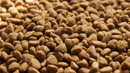 Pellets for cat or dog meals close-up 4K 2160p 30fps UltraHD tilting footage - Pile of pet dry food