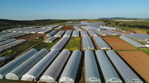 Extensive Greenhouses in Verdant Rural Farmland Aerial View