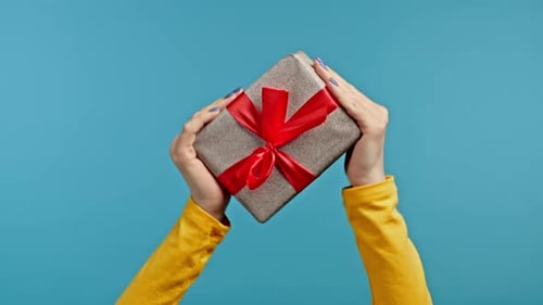 Woman's Hands Holding Wrapped Present With Red Bow