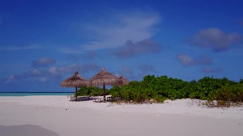 Aerial view seascape of resort beach wildlife by blue sea with sand background