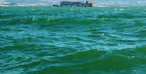 Mer verte