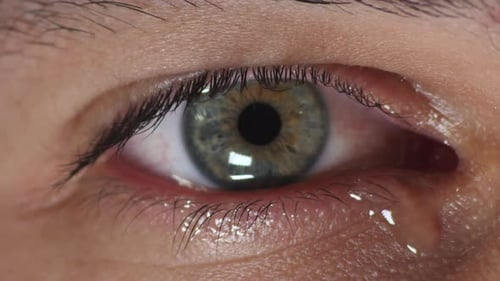 Close up of a green eyed male looking at the camera