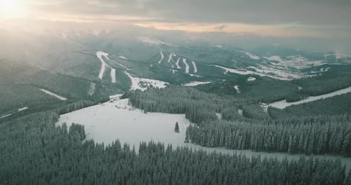 Sunlight Over Snowy Winter Highland Resort Green Pine Tree Forest in Bukovel Ukraine