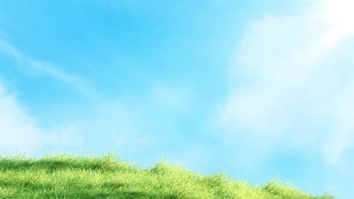 Schnelles Schwanken von Gras mit Sky Loop 4K