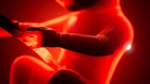3D Render of Human Fetus in Red Womb Environment