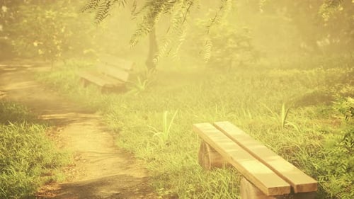 Misty Park Path with Wooden Benches in Golden Haze