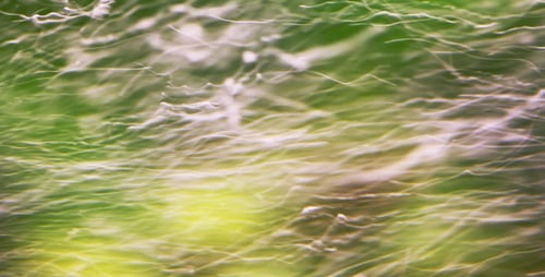 Fluid Streams in Green and Brown Abstract