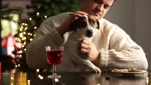 Man Pets Dog at Table with Christmas Tree