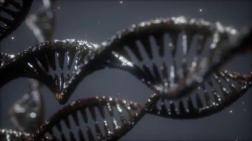 Double Helical Structure of Dna Strand Close-up Animation