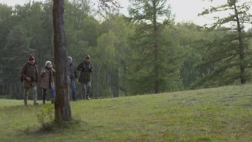 Cheerful Senior Hikers Walking on Forest Lawn and Chatting