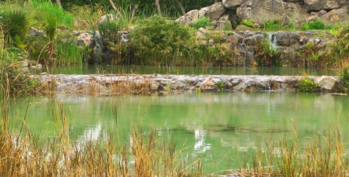 Lake
