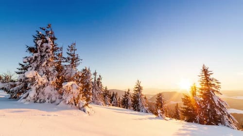 Beautiful Winter Landscape in the Mountains