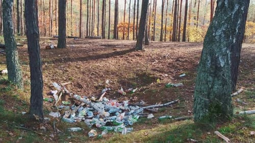 Pile of Garbage in Autumn Forest