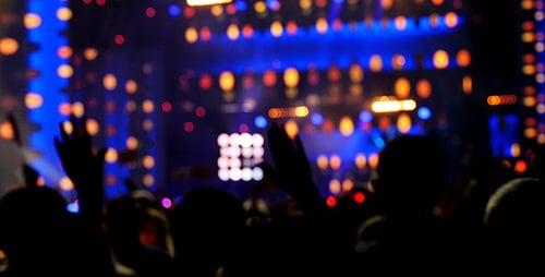 Silhouetted Crowd Enjoys Concert with Vibrant Lights