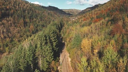 Route forestière colorée d'automne dans les Carpates