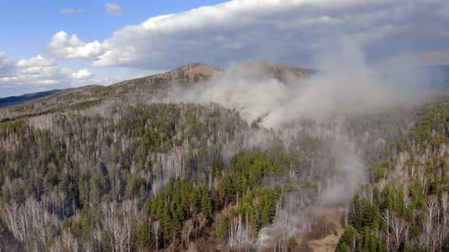 Top View of a Fire Erupted in the Forest