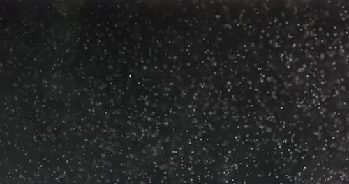 White Bubbles And Particles In Water Against Black Background