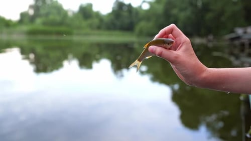 Small Fish Held in Hand by Peaceful Lake