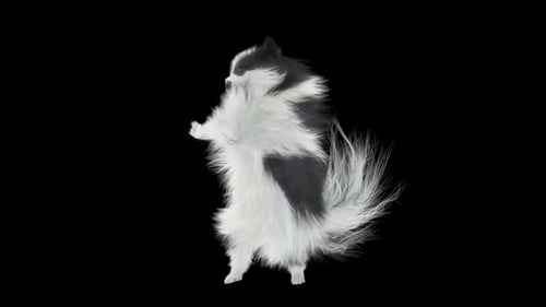 Cute Animated Fluffy Dog Dancing on Hind Legs