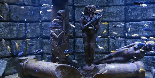 Estatuas submarinas y del antiguo Egipto