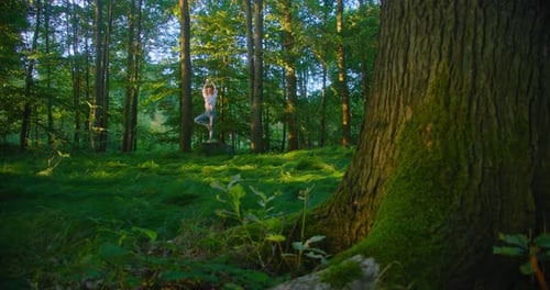 Woman Practicing Yoga in a Forest
