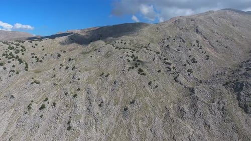 Sparse Trees On Arid Stony Mountain Slope