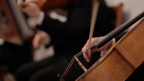 Cello Plays in String Orchestra Close Up