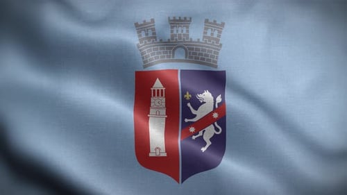 Waving Flag with Stylized Coat of Arms Emblem Animation